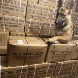 Chevy Impala Power Seat Motor And Slide Rack 