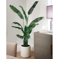 CG Hunter Lifelike Banana Tree 