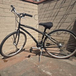 Diamondback Parkway 21 Speed Cruizer