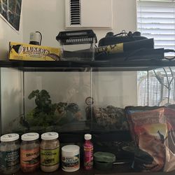 Terrarium Setup