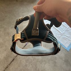 Dog Harness $20 