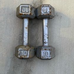 10lbs Weights