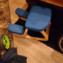 Ergonomic Desk Chairs 2