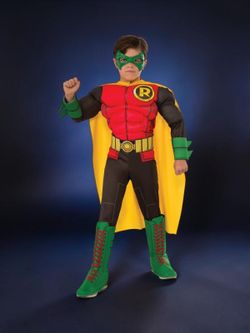 Kids DC Teen Robin Deluxe Costume, Large