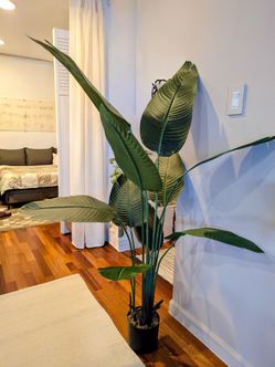 Faux Bird of Paradise