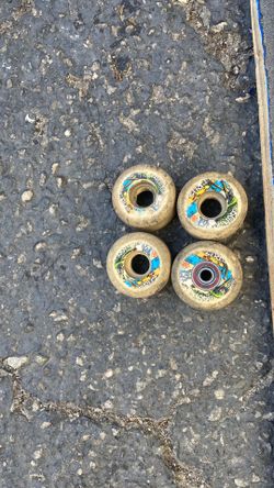 Skate board
