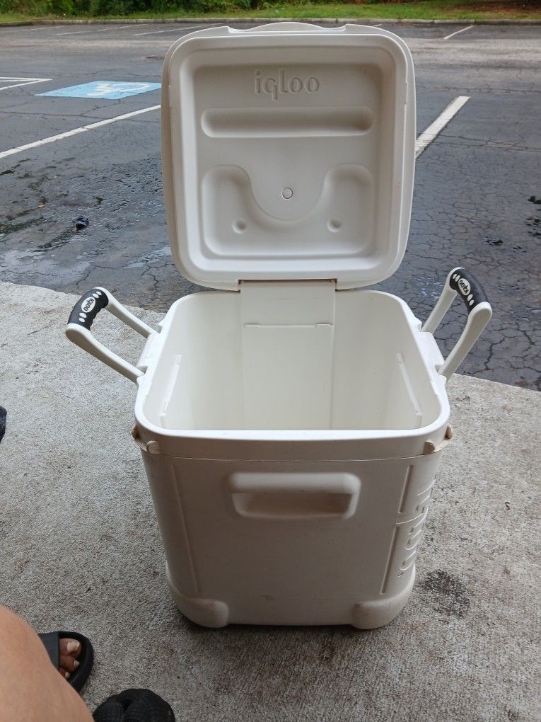 Igloo Cooler 