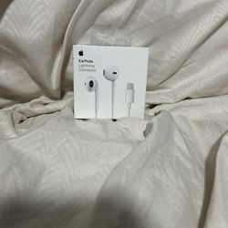 Apple Earbuds 