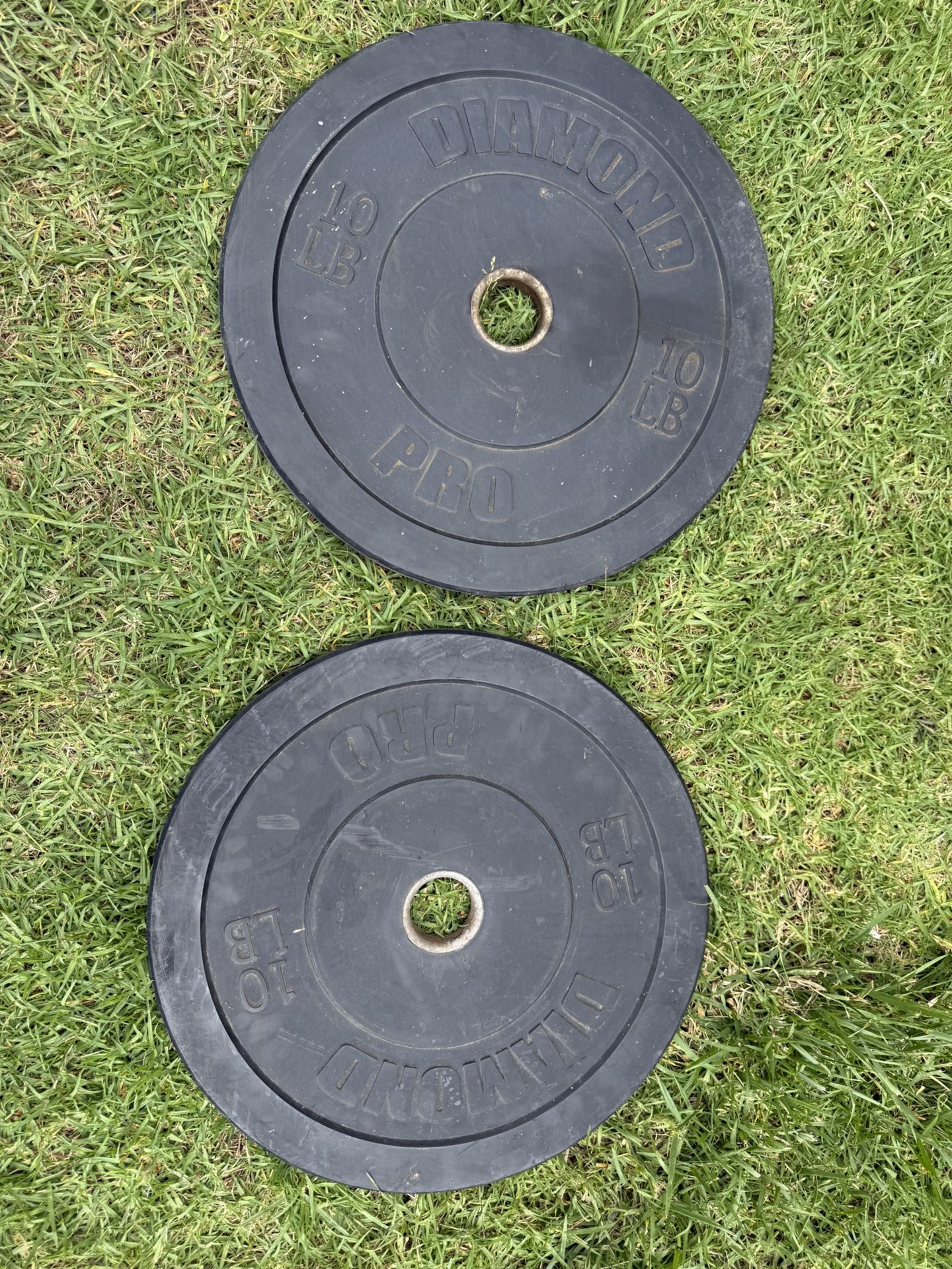 10 Lbs Olympic Bumper Plates