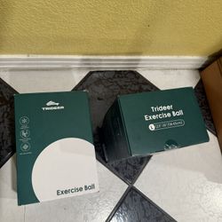 Trideer Exercise Balls
