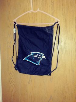 Panthers bag