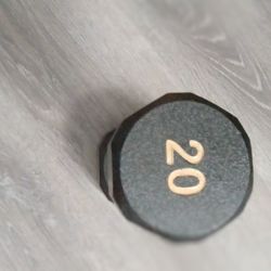 20 Pound Weight