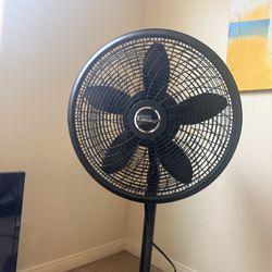 Black Lasco Fan 