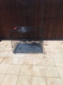 Dog kennel