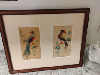 Picture Real Feathers Used For The Birds