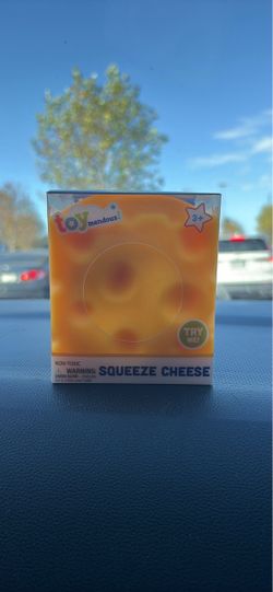 New unopened Cheese Squishy