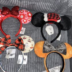 Disney Park Ears Lot 