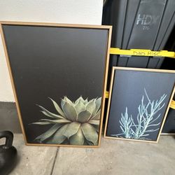 Large Succulent Picture Decor