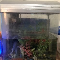 Aquarium