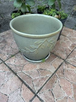 Vases / Garden Hose