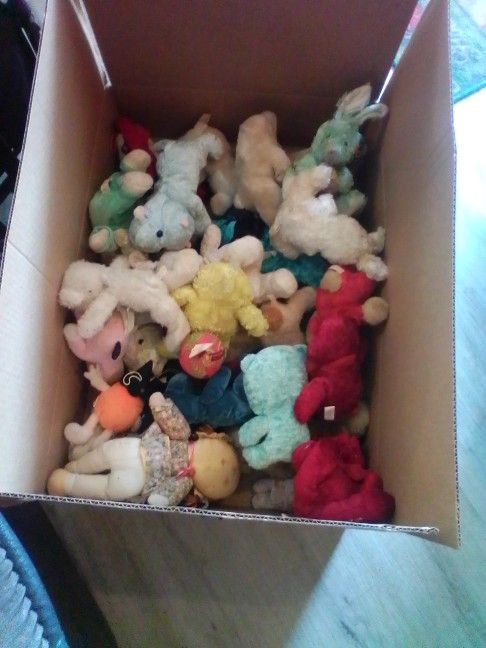Stuffed Animals