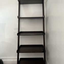 Ladder Bookshelf