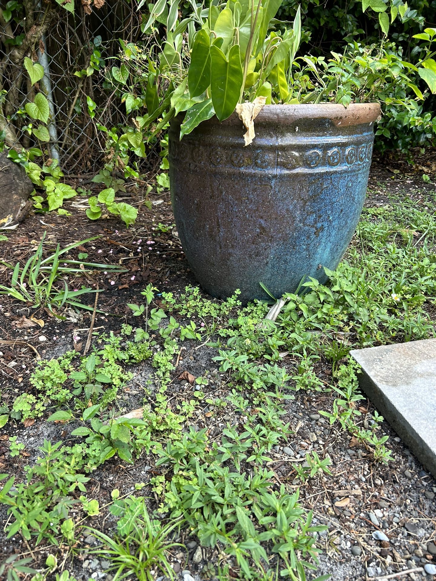 large-garden-pots-outdoor-pottery-for-sale-in-miami-fl-offerup