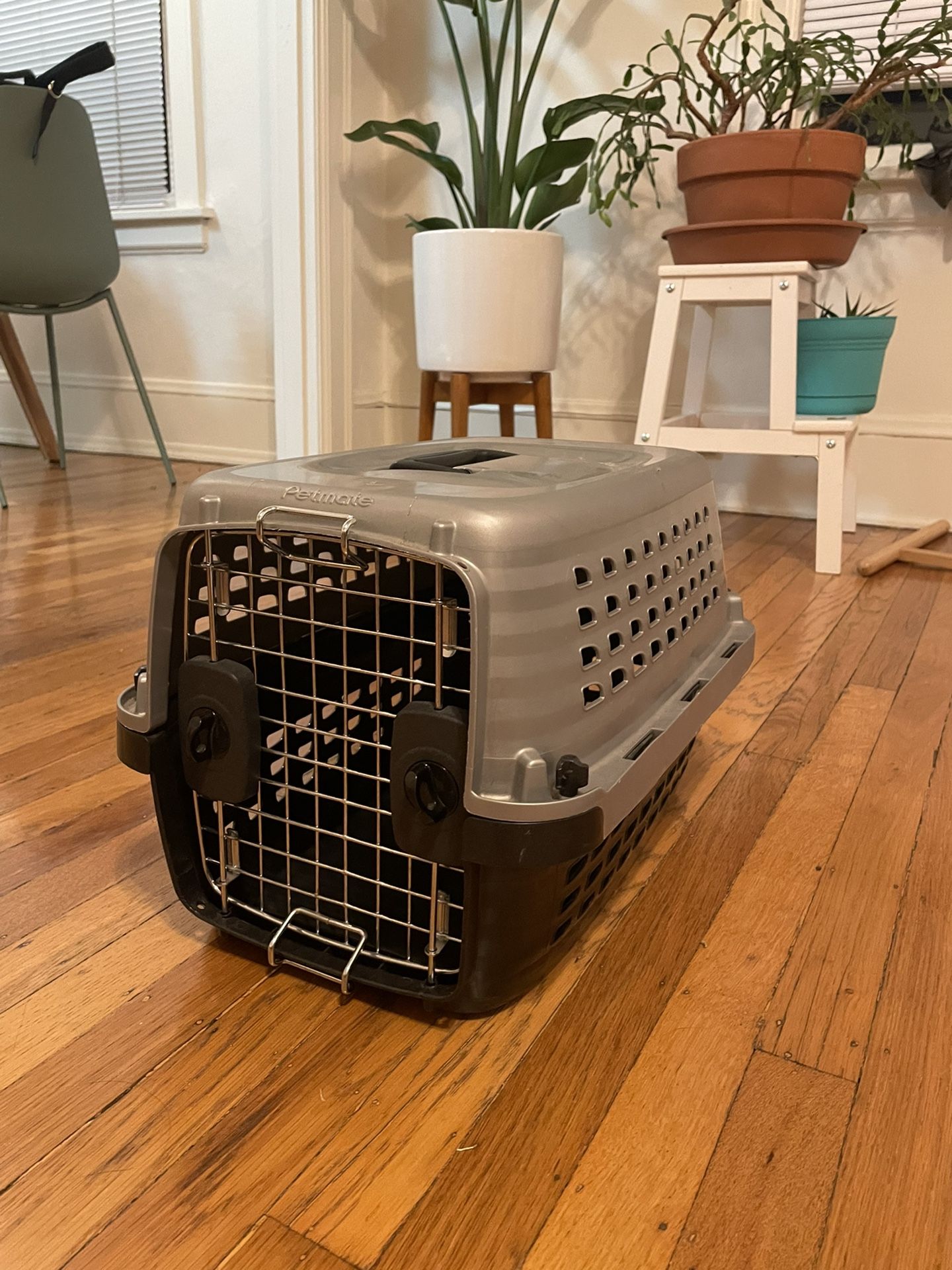 Petmate Carrier