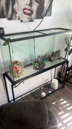Large Glass Fish Tank with Metal Stand