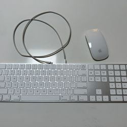 Apple Magic Mouse & Magic Keyboard