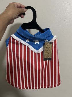 Pet Shirt