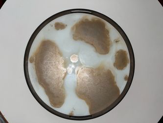 Notre Monde 1997 Signed Dawn Tray