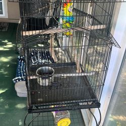 Bird Cage