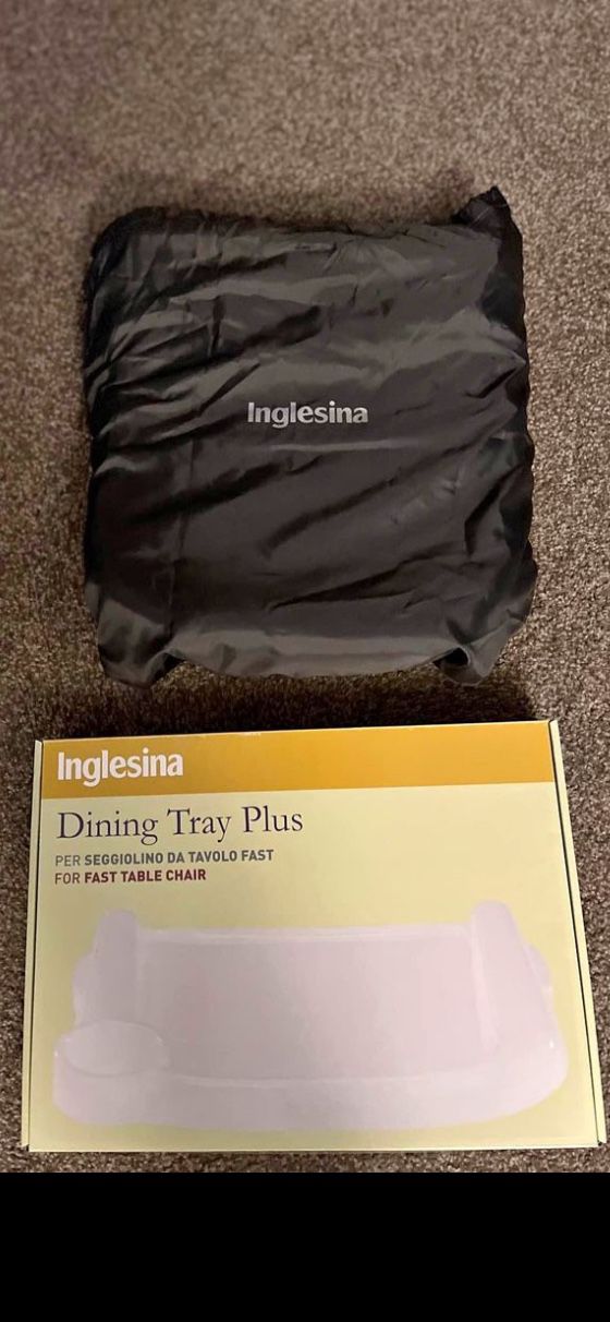 Inglesina Chair with Dining Tray
