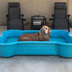 Dog Pool - Bone Shaped