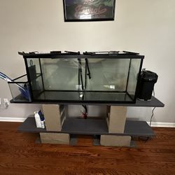 Fish Tank Set Up 