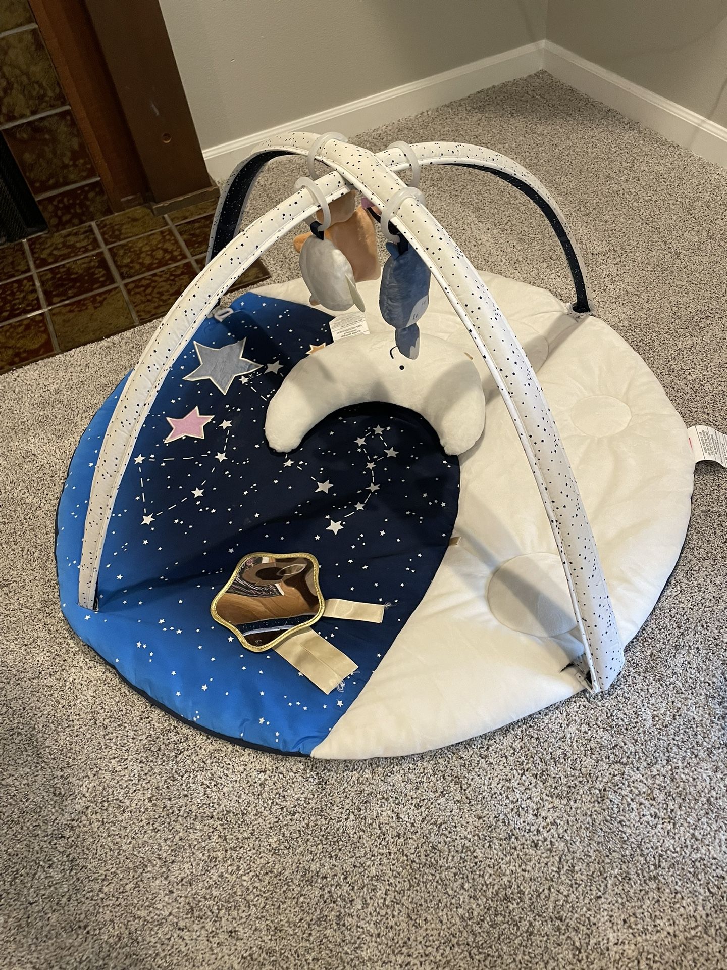 Skip Hop Activity Gym/play Mat