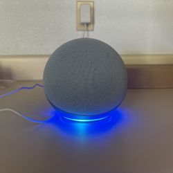 Amazon Echo Alexa