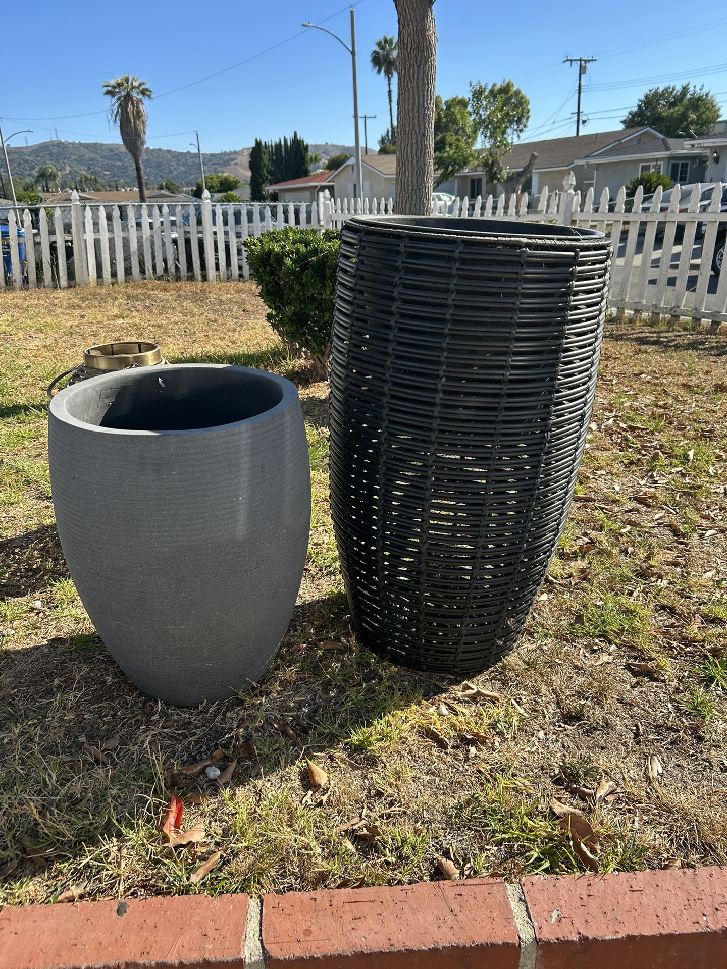 NEW!! 2 Pot Plants