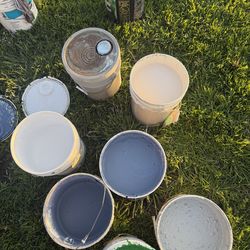 5 gallon Buckets of paint