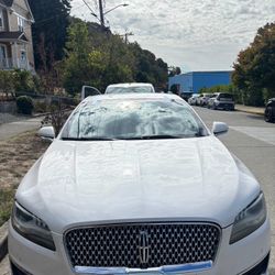 Windshield Car Door Replacement