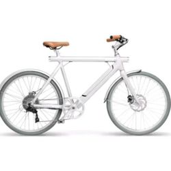 Electric WING Bike (ASSEMBLED)