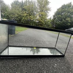55 Gallon Tank/Stand 