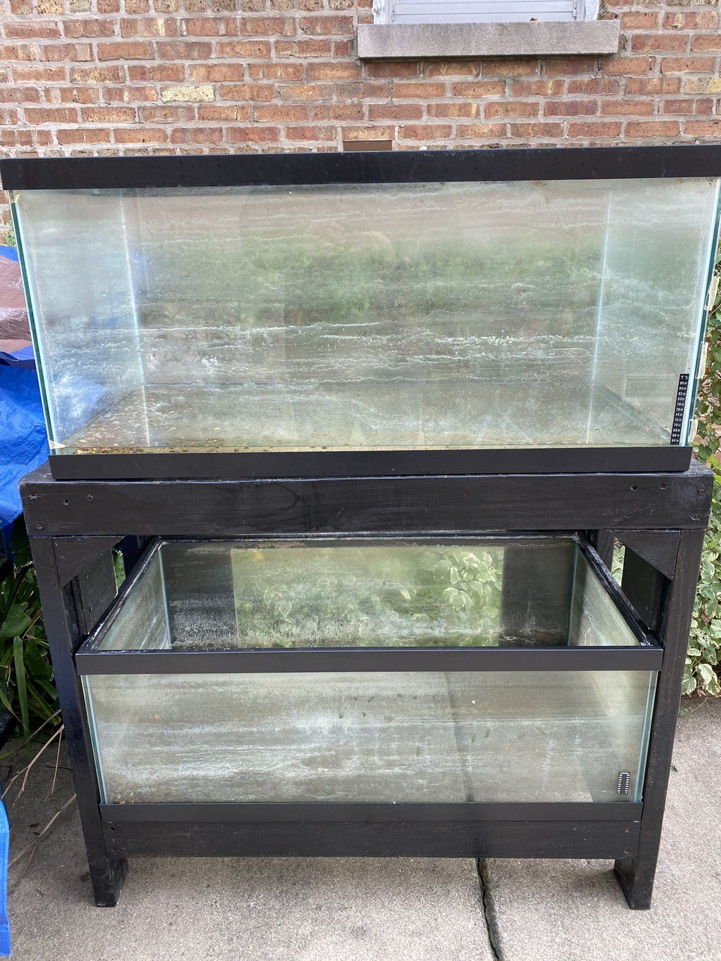 50 And 40 Gallon Breeder Tanks