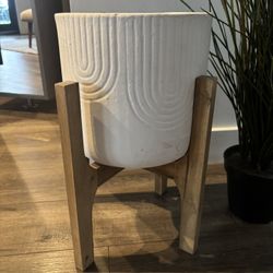 Arched Planter & Indoor Plant 