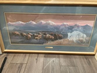 Framed Picture