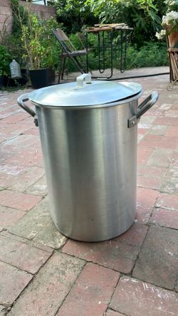 Frying pot