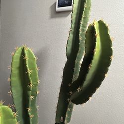 Fake cactus plant