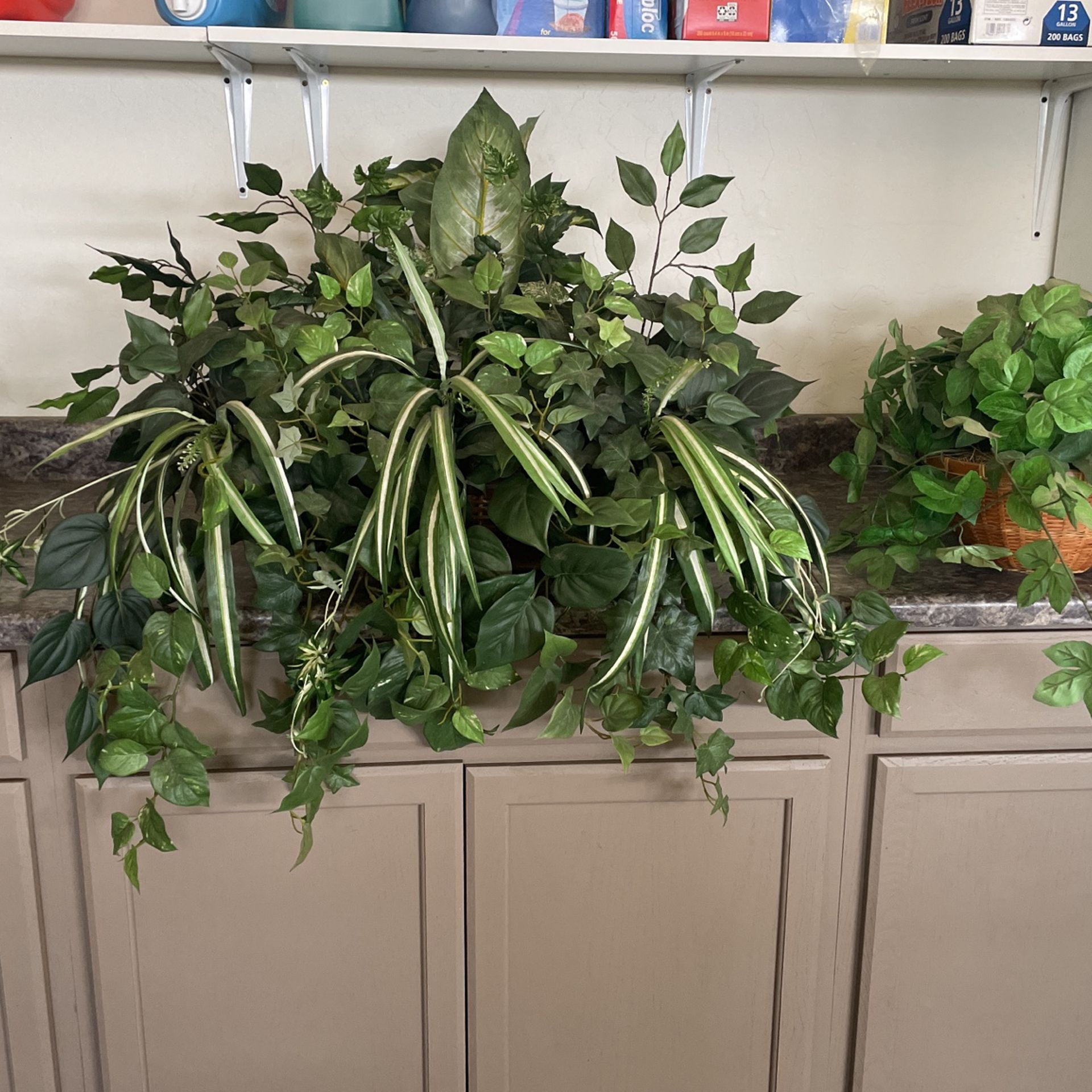Fake Plants