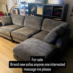 New Sofa